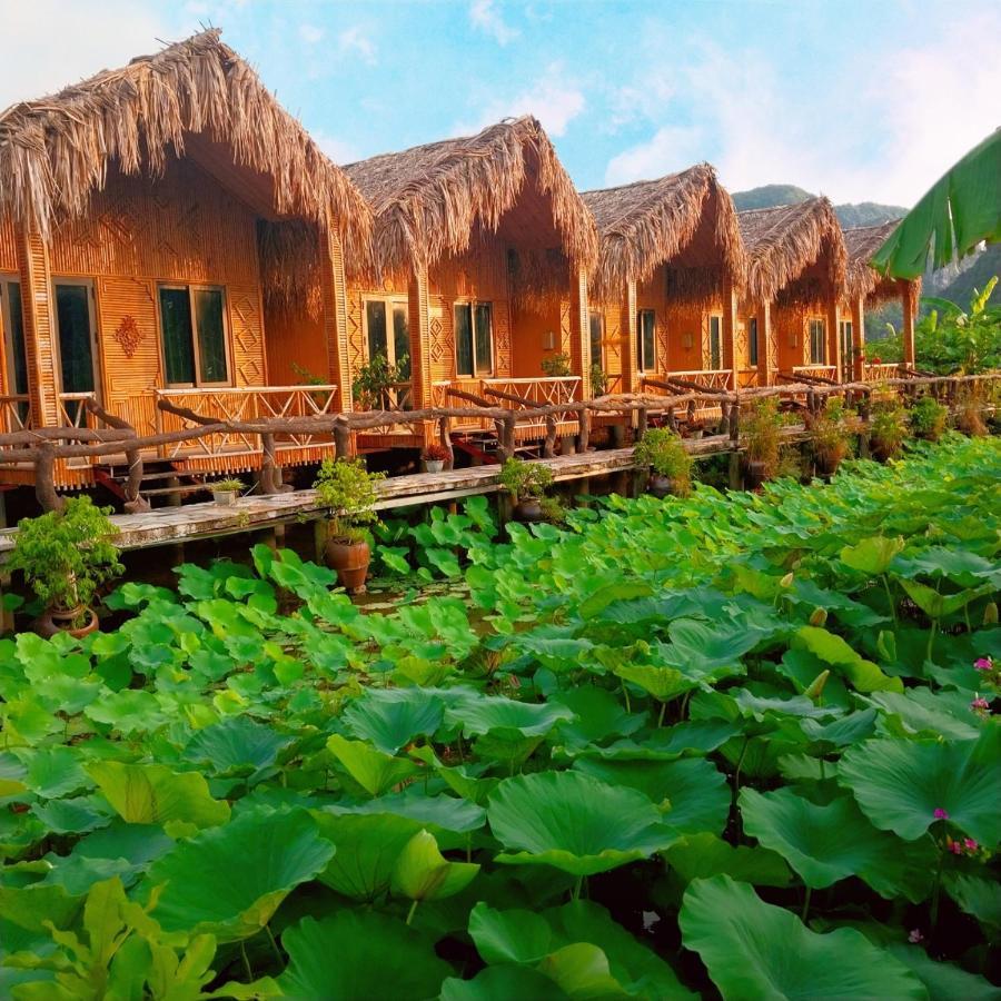 Hang Mua Lotus Homestay Ninh Binh