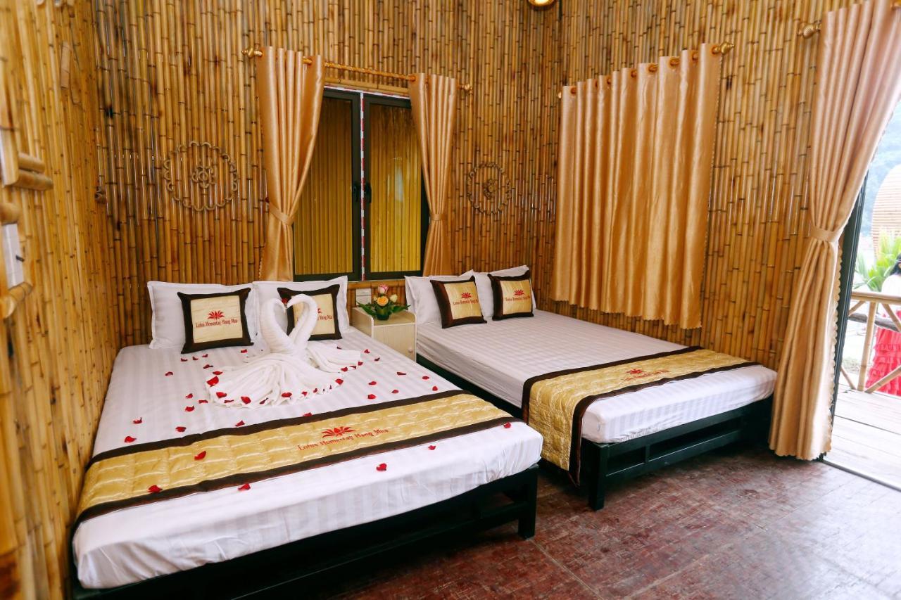 Hang Mua Lotus Homestay