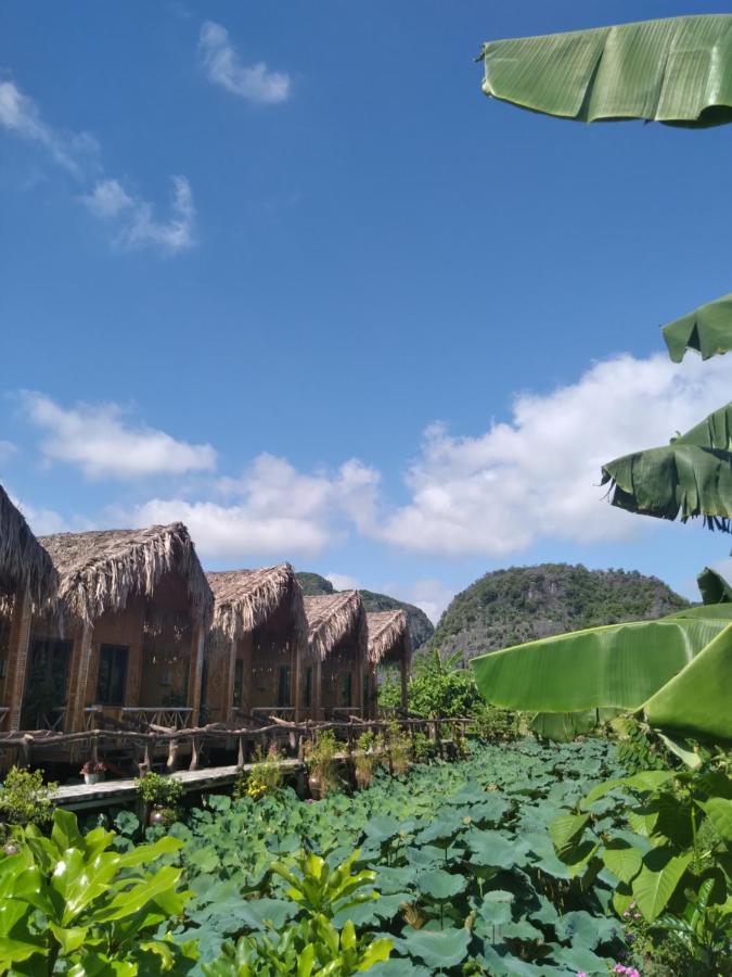 Hang Mua Lotus Homestay Ninh Binh